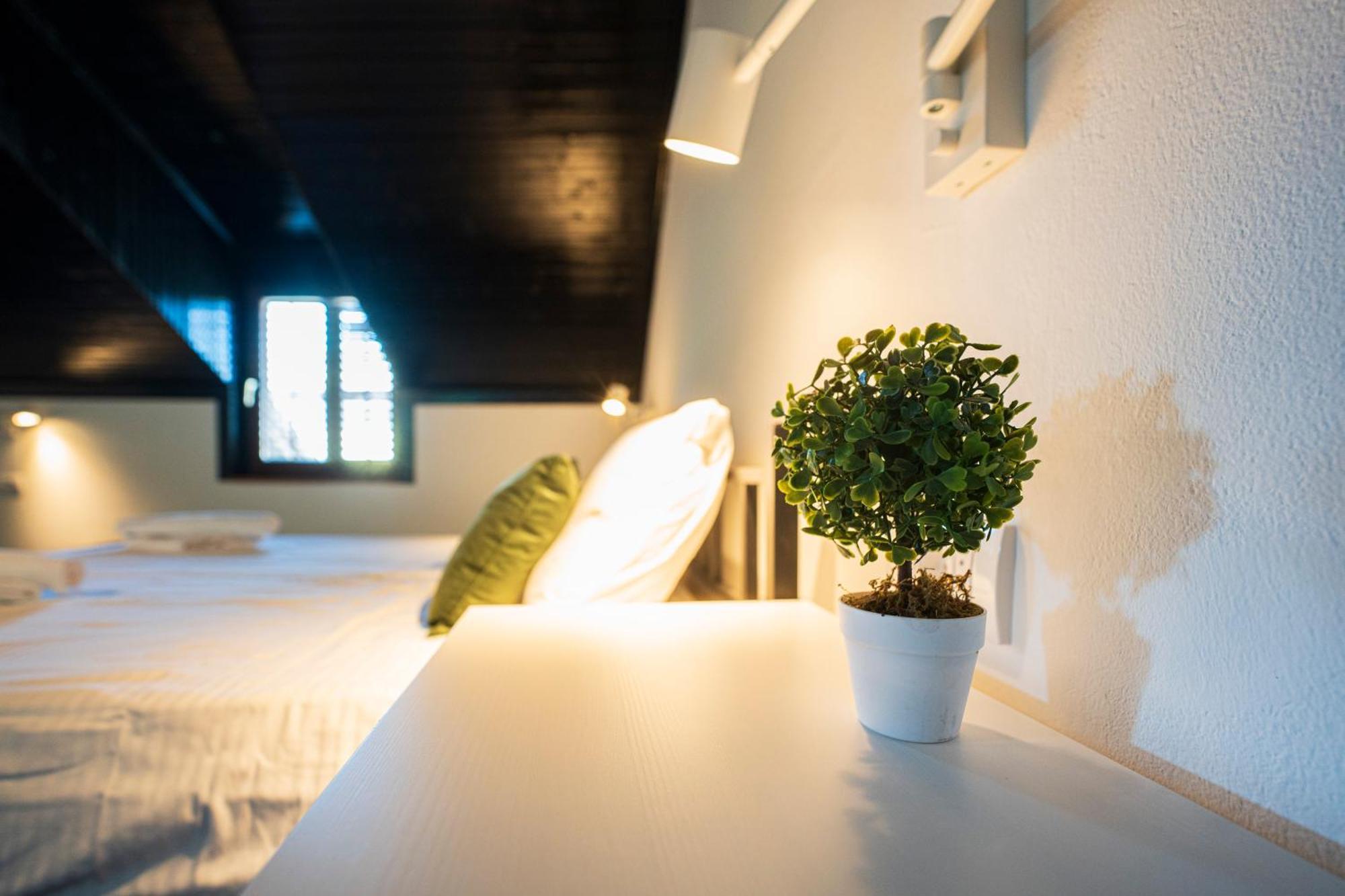 Cozy Nook B&B - Free Private Parking Novi Sad Dış mekan fotoğraf